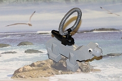 2016_12_02 10_21_27 - Sylvia Froehlich